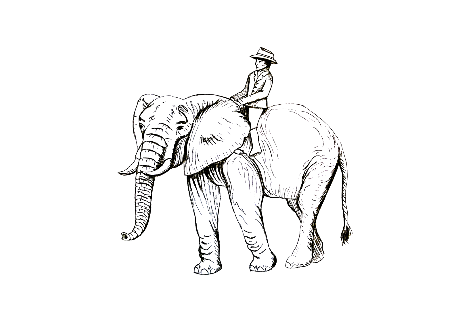 Elefantti ja ratsastaja